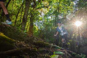 BIB: 337
                            <button type="button" onclick="openModal(16015621)" class="btn btn-primary btn-sm float-right btn-popup" data-toggle="modal" data-target=".modal-high-quality">
                        <i class="fas fa-shopping-cart"></i> Add to Cart
                    </button>
                                            <button type="button" onclick="isThisMe(16015621, true)" class="btn btn-success btn-sm float-right btn-popup btn-isme hidden" data-toggle="tooltip" data-placement="bottom" title="นี่คือรูปของคุณใช่ไหม คลิกที่นี่เพื่อเอาเข้าอัลบั้ม">
                        <i class="fas fa-plus"></i> Add to album
                    </button>
                    <button type="button" onclick="isThisMe(16015621, false)" class="btn btn-warning btn-sm float-right btn-popup btn-isnotme hidden">
                        <i class="fas fa-ban"></i> Remove from album
                    </button>